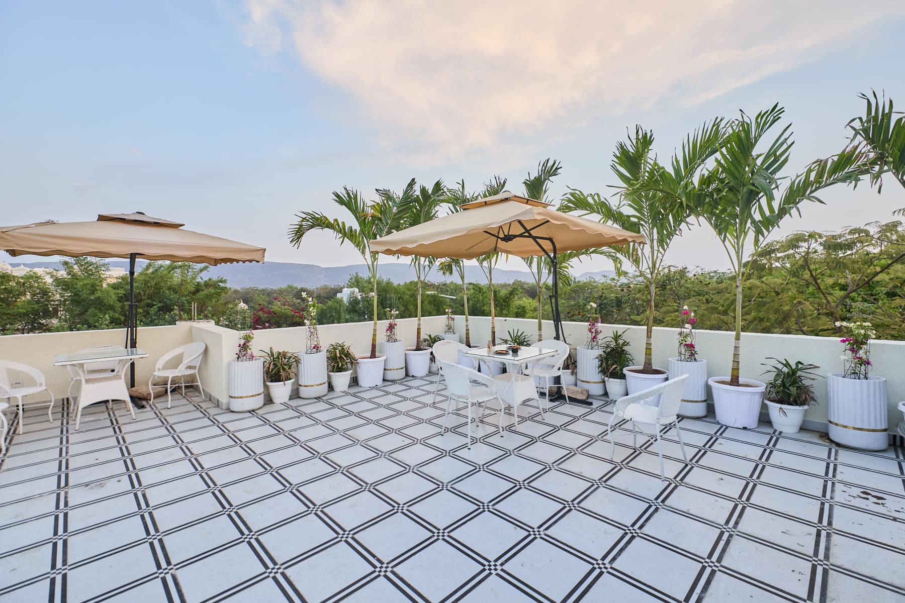 Rooftop terrace with cane umbrellas, white planters and young palms against the hills
